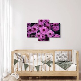 Tablou cu florile roz (90x60 cm)