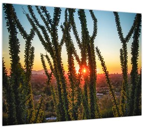 Tablou - Plante (70x50 cm)