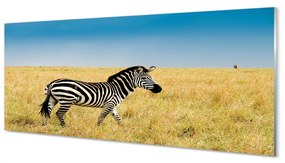 Tablouri pe sticlă caseta Zebra
