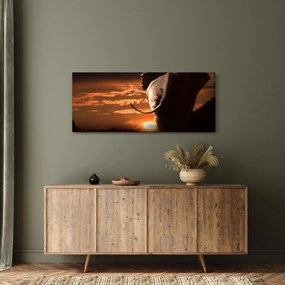Tablou cu elefant (120x50 cm)