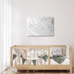 Tablou pe sticlă - Iarbă de pampas N⁰2 (70x50 cm)