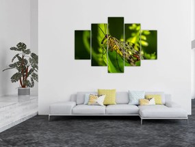 Tablou cu omide (150x105 cm)
