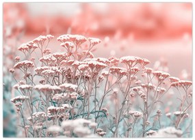 Tablou pe sticlă - Flori de câmp (70x50 cm)