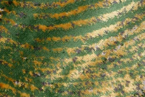 Covor alb și verde la modă cu model auriu Lăţime: 80 cm | Lungime: 150 cm