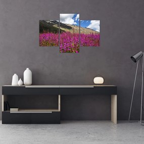 Tablou sceneriei cu lunca montană (90x60 cm)