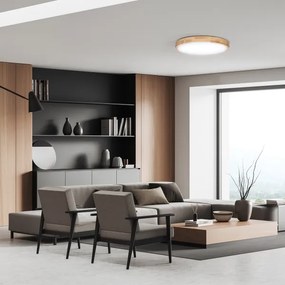 Solight WO8009 - Lampă LED SOLID OAK 48W/230V 3000-6500K pr. 39 cm + DO