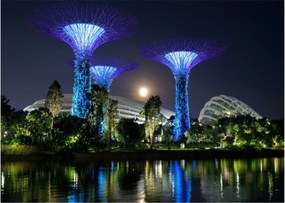 Tablou cu lună plină în grădinile din Singapur (70x50 cm)