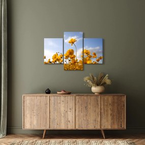 Tablou - Câmp cu flori galben deschis (90x60 cm)