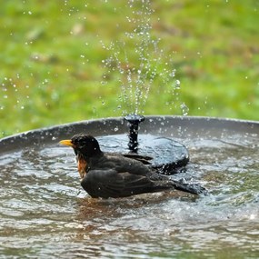 Fântână solară 13 cm