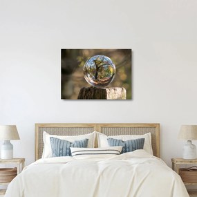 Tablou pe sticlă - Reflecție intr-o sferă transparentă (70x50 cm)