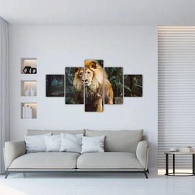 Tablou cu leu în natură (125x70 cm), în 40 de alte dimensiuni noi