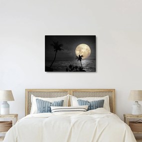 Tablou - Plaja cu lună plină, nuanțe gri (70x50 cm)