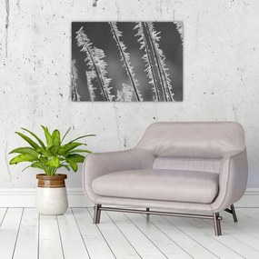 Tablou pe sticlă - Frig de îngheț (70x50 cm)