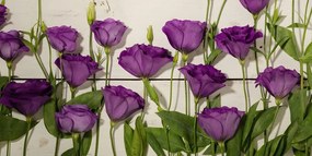 Tablou flori violete frumoase