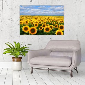 Tablou cu lan de floarea soarelui (90x60 cm)