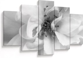 Tablou - Floare,alb-negru (150x105 cm)