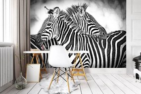 Fototapet - Zebra (254x184 cm)