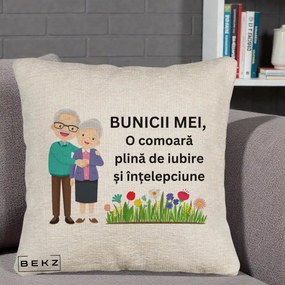 Cadou pentru Bunici - Perna Personalizata Bunicii Mei Comoara Cuplu Senior cu Flori Colorat, 40x40 cm, Bej Canapea, Husa Detasabila, Perna Inclusa, BEKZ®