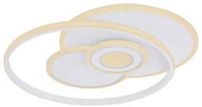 Plafoniera LED moderna cu telecomanda RODERICK 50W