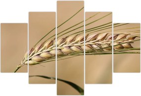 Tablou - Grâu (150x105 cm)