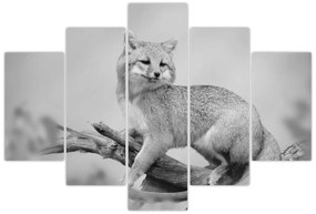 Tablou - Vulpe gri (150x105 cm)