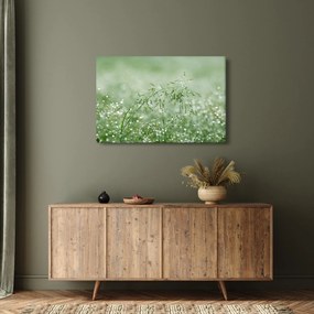 Tablou - Trandafir în iarbâ (90x60 cm)