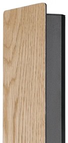 Aplică LED ZUBIALDE LED/12W/230V Eglo 900325