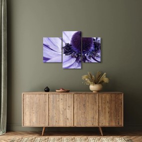 Tablou - Floare mov (90x60 cm)