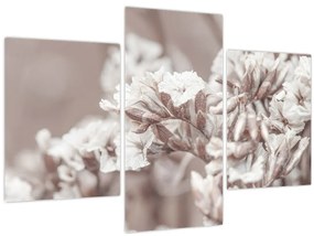 Tablou - Detaliu crenguță (90x60 cm)