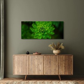 Tablou cu coniferi (120x50 cm)