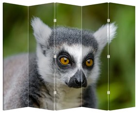 Paravan - Lemur (210x170 cm)