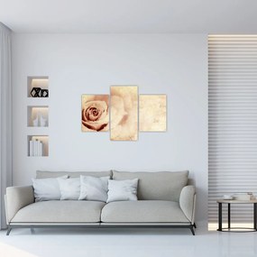 Tablou - floare de trandafir pentru îndrăgostiți (90x60 cm)