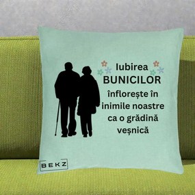 Cadou pentru Bunici - Perna Personalizata Bunicii Iubirea Infloreste Silueta Neagra Flori, 40x40 cm, Verde Menta, Husa Detasabila, Perna Inclusa, BEKZ®
