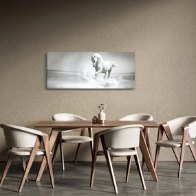 Tablou - Cal alb (120x50 cm)