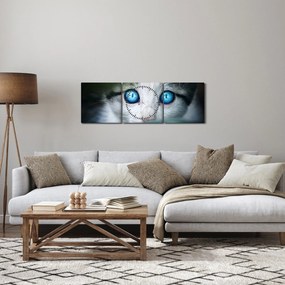 Tablou cu pisica (cu ceas) (90x30 cm)