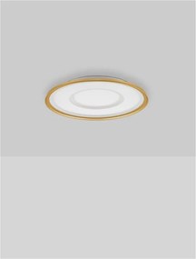 Plafoniera LED dimabila cu telecomanda FIGIN D-60cm