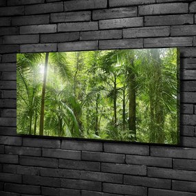 Imprimare tablou canvas Padure tropicala