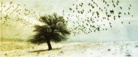Tablou - cu multe păsări pictate (120x50 cm)