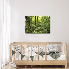 Tablou pe sticlă - Pădure tropicală (70x50 cm)