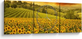 Tablou - Câmp de floarea-soarelui (cu ceas) (90x30 cm)