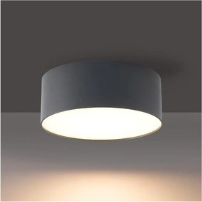 BRILAGI - Plafonieră de exterior FORIS LED/14W/230V Ø 12 cm antracit IP44