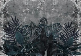Fototapet - Plante în întuneric (147x102 cm)