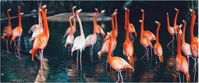 Tablou - turmă de flamingo (120x50 cm)
