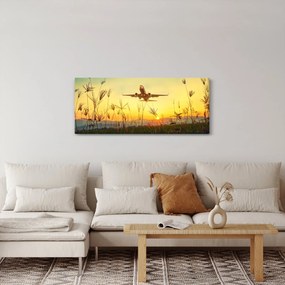 Tablou cu avionul ridicându-se spre zbor (120x50 cm)