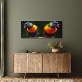 Tablou cu papagali (120x50 cm)