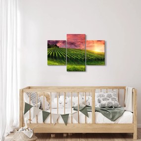 Tablou cu vie cu cerul color (90x60 cm)