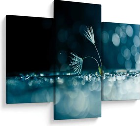 Tablou - Macro (90x60 cm)