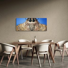 Tablou cu detalii a unui pâianjen (120x50 cm)