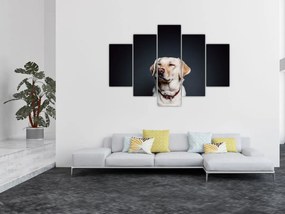 Tablou cu labrador (150x105 cm)