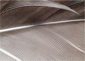 Tablou cu fibre abstacte (70x50 cm)